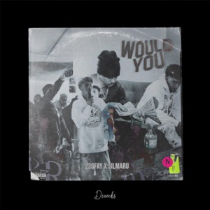 Would You (feat. 22gfay, Lil Maru & 22diegs)