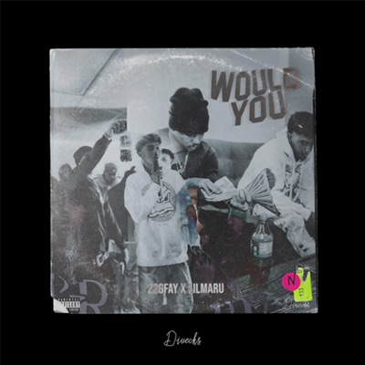 Would You (feat. 22gfay, Lil Maru & 22diegs) - Single