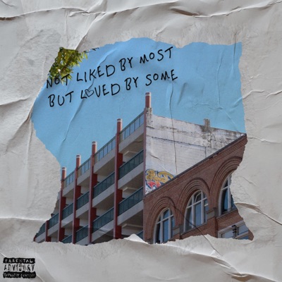 Not Liked By Most But Loved By Some - EP