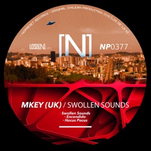 Swollen Sounds - Single