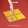 Synapson All In You (feat. Anna Kova) Convergence