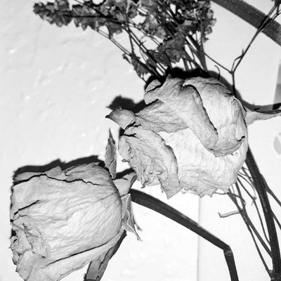 We're Going To Be Okay - Single