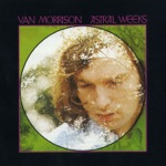 Van Morrison - The Way Young Lovers Do