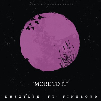 MORE TO IT (feat. FINEBOYD) - Single