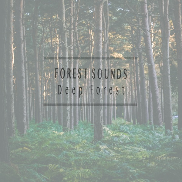 Deep Forest