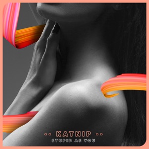 Stupid as You (feat. Asta)