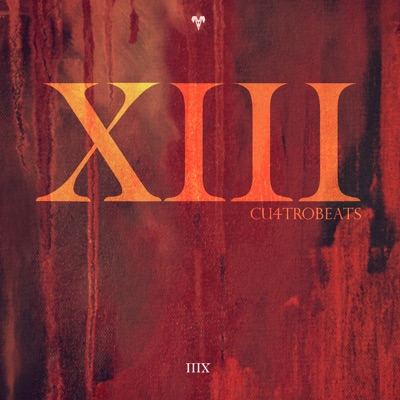 XIII
