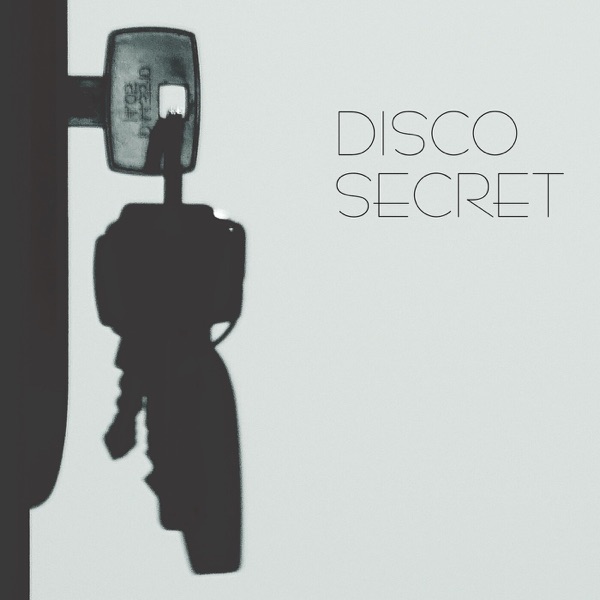 Disco Secret (feat. Dj Freccia & fabrizio Pendesini)