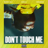 Don't Touch Me artwork