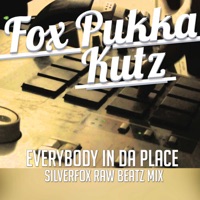 Everybody in da Place (Silverfox Raw Beatz Mix) - Single - Silverfox