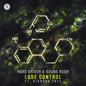 Lose Control (feat. Diandra Faye) [Extended Mix] artwork