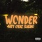 Wonder (feat. Rarin) - DaTe lyrics