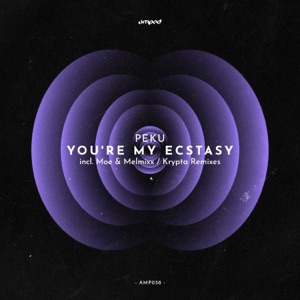 You're My Ecstasy - EP