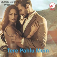 Tere Pahlu Mein - Single - Arish