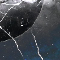 bashful - Single - teddyboi