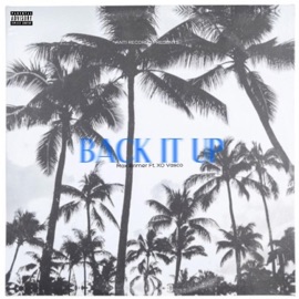 Back It Up (feat. XO Vasco) Max Brimer