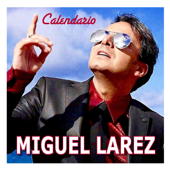 Calendario - Miguel Larez
