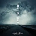 The Storm