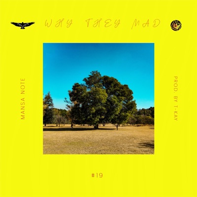 Why They Mad - Single