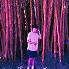 REINOR सुनें, म्यूज़िक वीडियो देखें, बायो पढ़ें, दौरे की तारीखें और बहुत कुछ देखें!