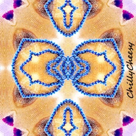 ChillyCheesy Ambigroovity