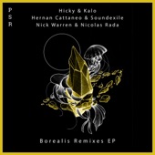 Borealis Remixes artwork