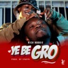 Ye Be Gro - Single