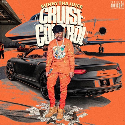 Cruise Control - Single