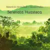 Serenata Huasteca