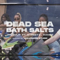 Dead Sea Bath Salts - Single - WiSeGuY