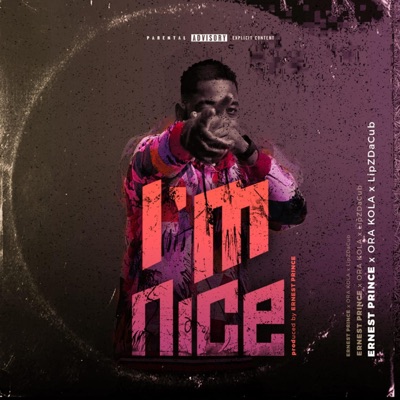 I'm Nice (feat. Ora Kola & LipZDaCub) - Single