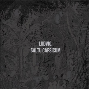 Saltu Capsicum - EP