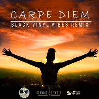 Carpe Diem (feat. Black Vinyl Vibes) [BVV Remix] - Single - Shanice Sewell