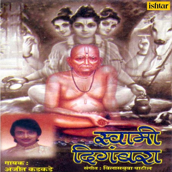 Swami Digambara