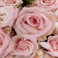 4 U - Single - Kuzu Mellow