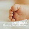 20 Canciones para Bebés y Recién Nacidos - Músicas Relajantes para una Calma Profunda