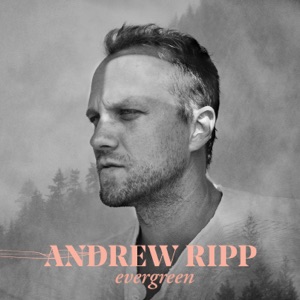 Andrew Ripp - Roses - Line Dance Musik