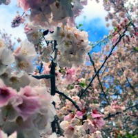 YÜ TOO : YÜ and Eye - EP - Baby Winbreaker