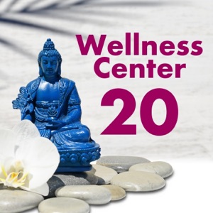 Wellness Center 20 Songs: Spa, Salon, Beauty Parlor, Massage or Health