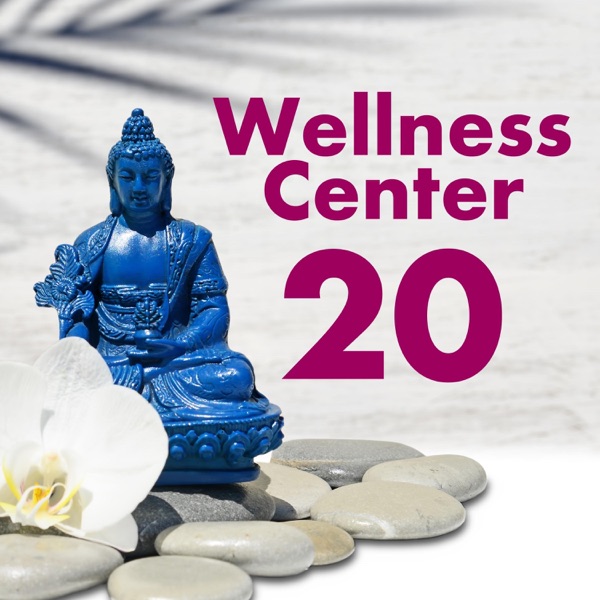 Wellness Center 20 Songs: Spa, Salon, Beauty Parlor, Massage or Health