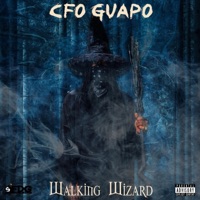 Walking Wizard - CFO Guapo