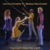 You Can't Hide the Light (feat. Melissa Manchester) - Single