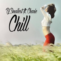 Chill (feat. Charie) - Single - DJ Smallest