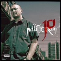 Mirajul capitalei (feat. Cheya Crew & D.J. Oxi) - Single - Ad Litteram