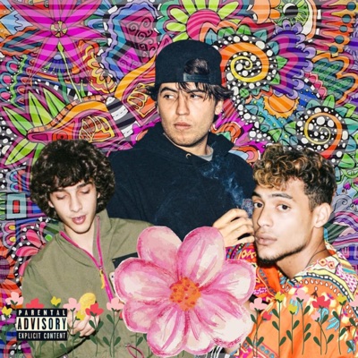 Recogiendo Flores (feat. Picazzo & Chef Lino) - Single