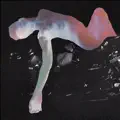On the Floor (Initial Talk Remix)