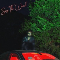 Say the Word - Single - trapdollazmanny