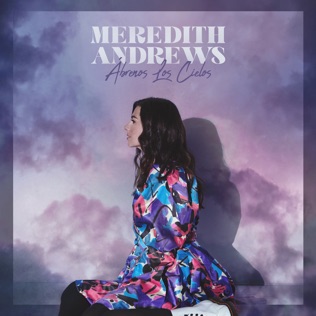 Meredith Andrews Carry The World