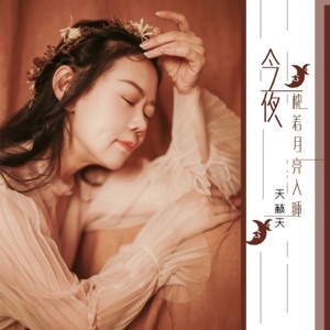 今夜枕着月亮入睡 - Single