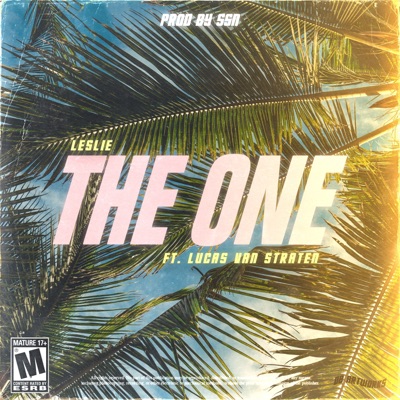 The One (feat. Lucas van Straten) - Single